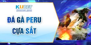 Đá Gà Peru Cựa Sắt – Kinh Nghiệm Đặt Cược Hiệu Quả