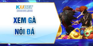 Xem Gà Nòi Đá - Kinh Nghiệm Nhận Biết Chiến Kê Hay